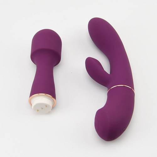 Loving Joy DUA Rabbit Vibrator with Wand Attachment