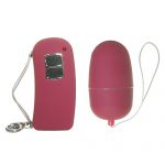 Loving Joy Remote Control Egg Shaped Vibrator