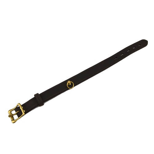 n10116-bound-nubuck-choker-with-o-ring-3_1 Choker Styled Bondage Collar