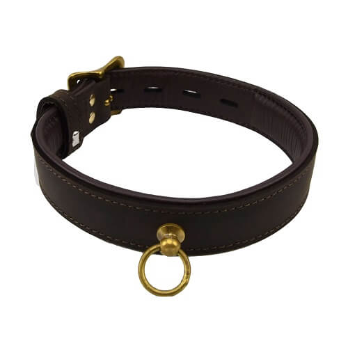 n10116-bound-nubuck-choker-with-o-ring_1 Bondage Collar